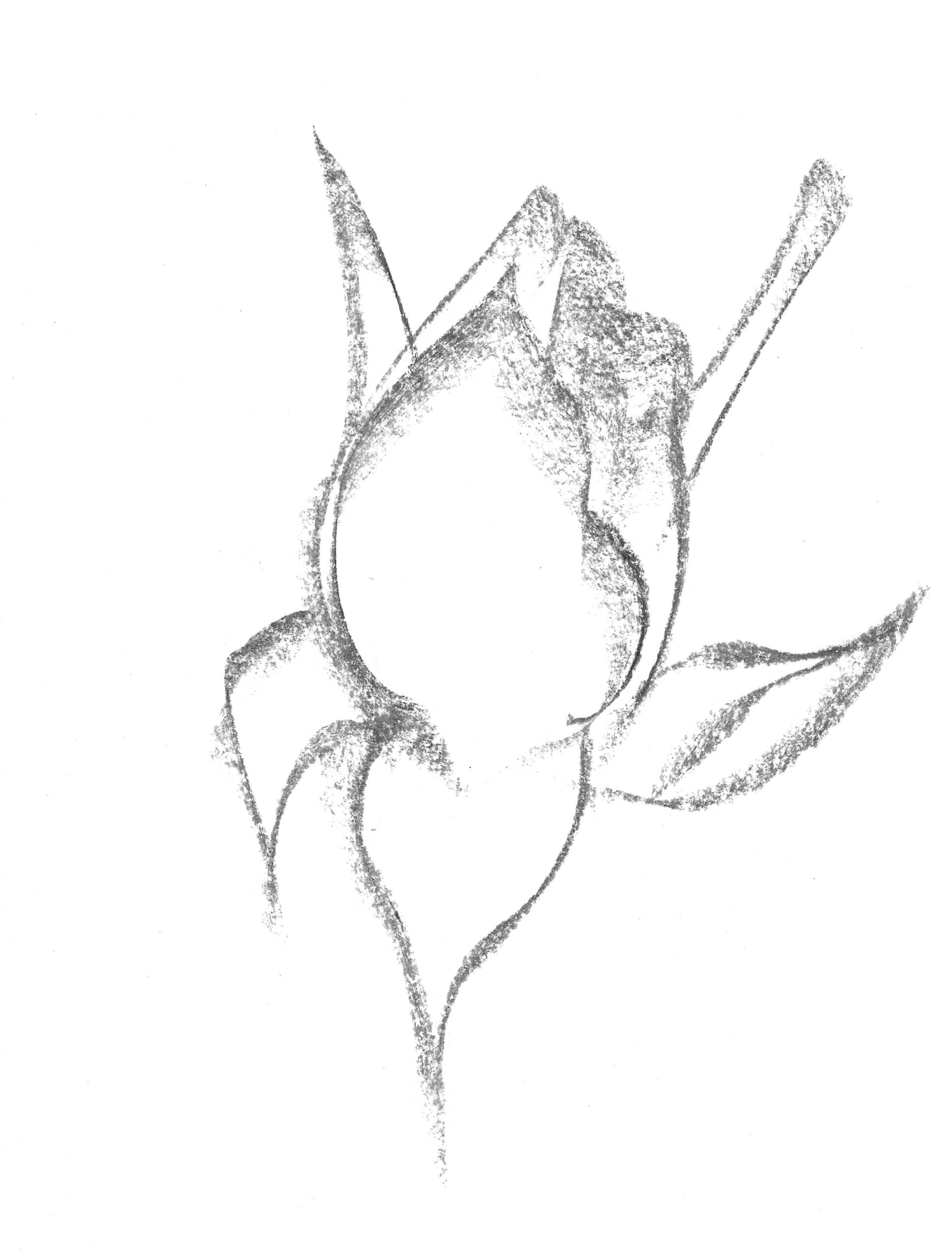 2021, fusain sur papier, 21 x 28 cm