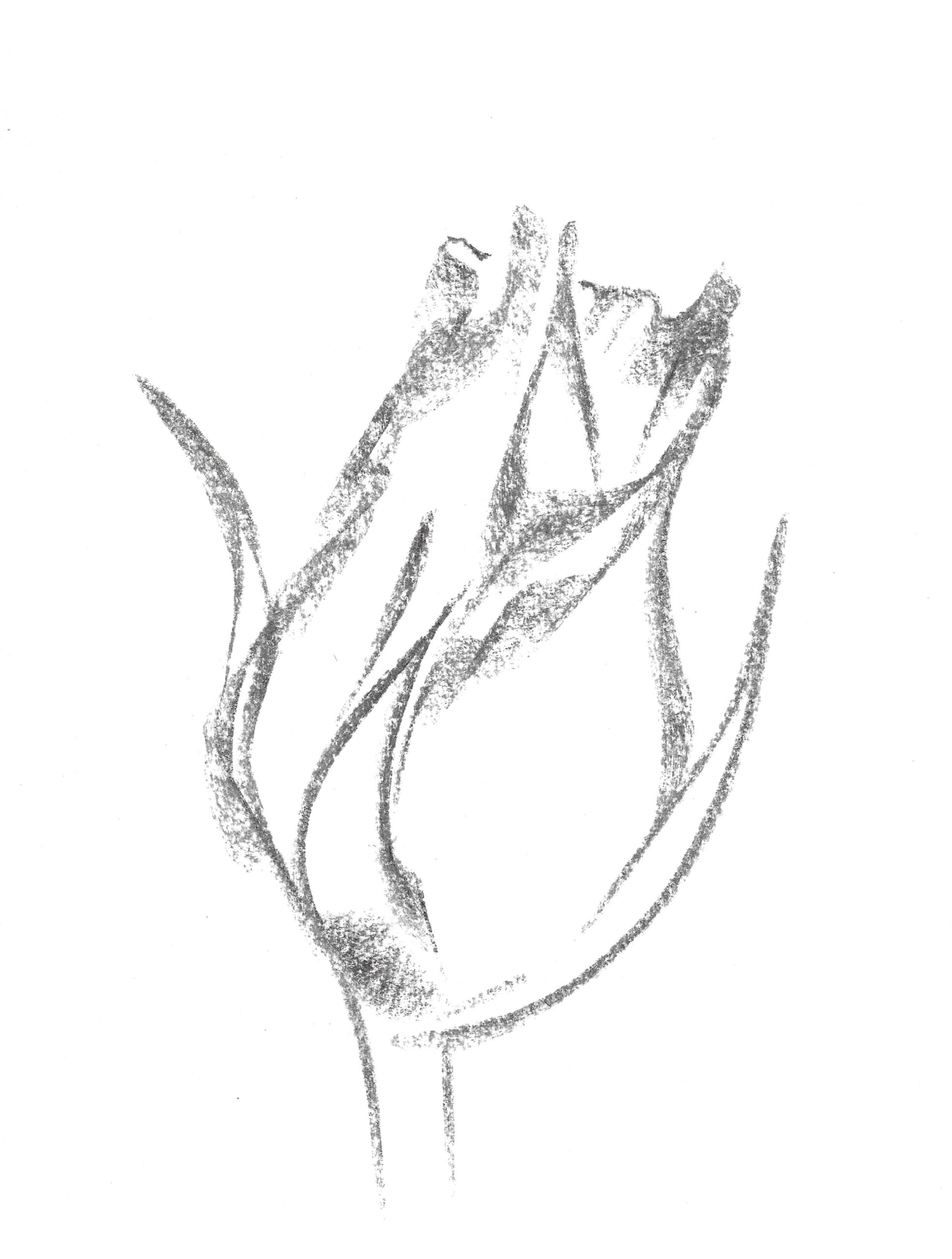 2021, fusain sur papier, 21 x 28 cm