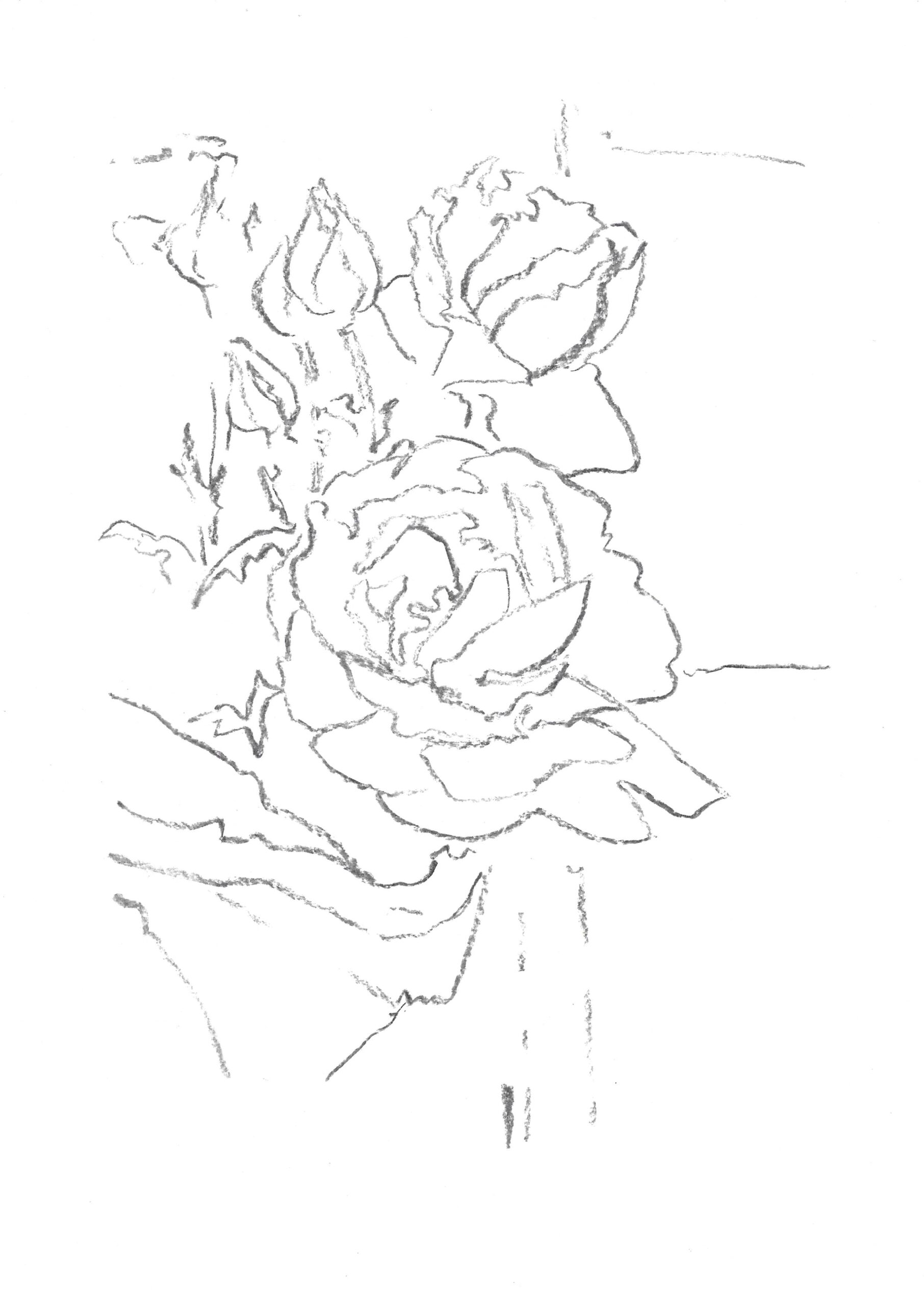 2021, fusain sur papier, 21 x 28 cm