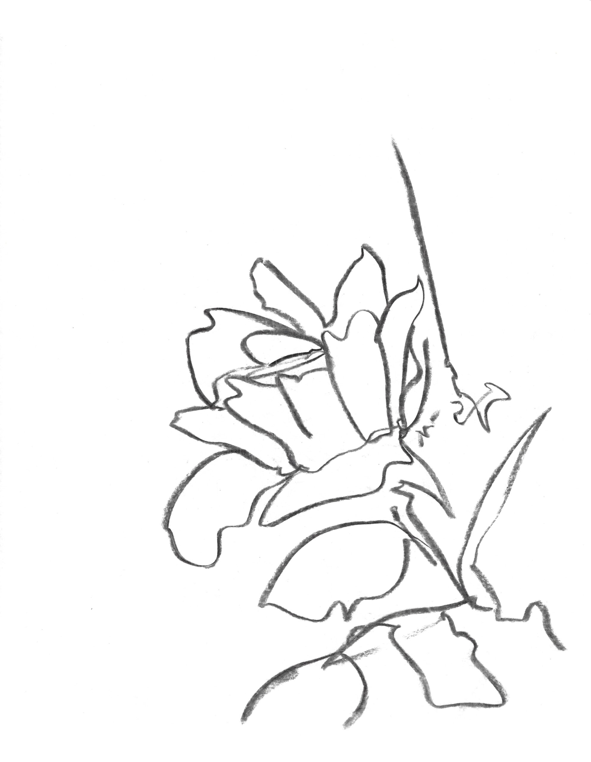 2021, fusain sur papier, 30,5 x 38 cm