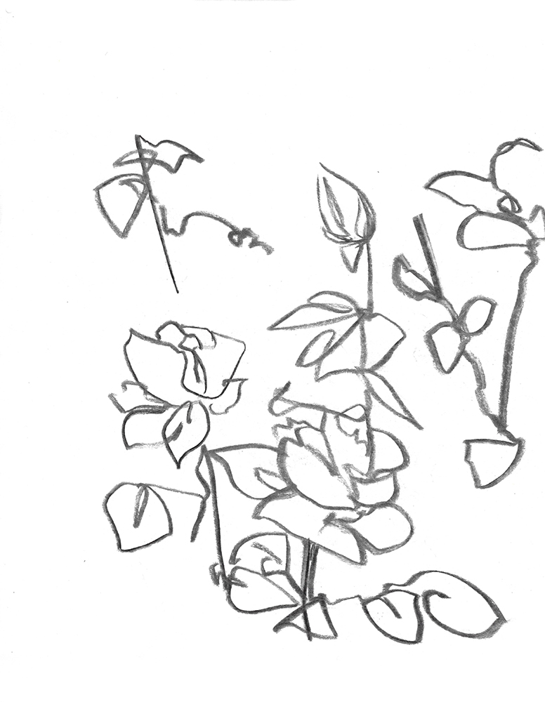 2021, fusain sur papier, 30,5 x 38 cm