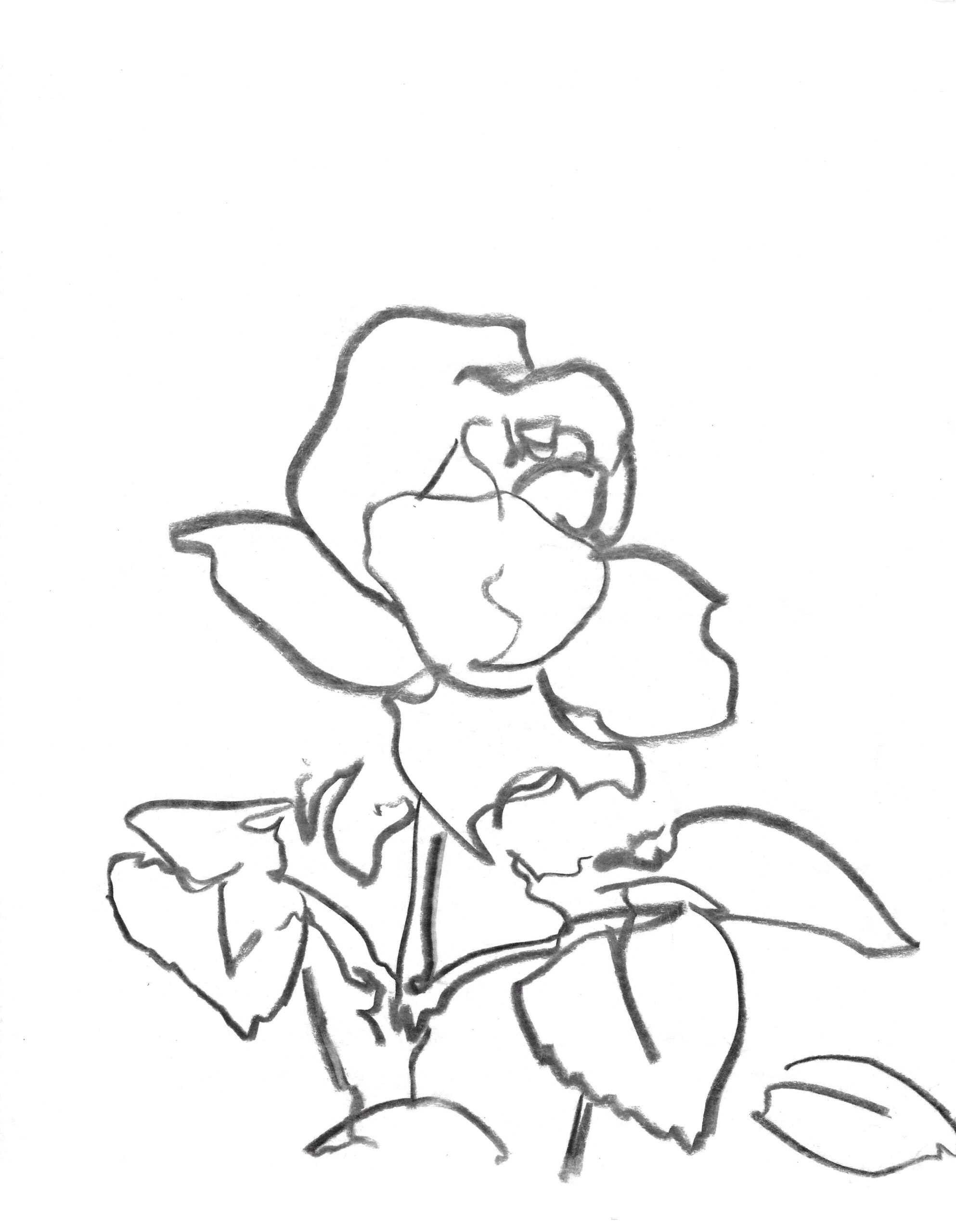 2021, fusain sur papier, 30,5 x 38 cm