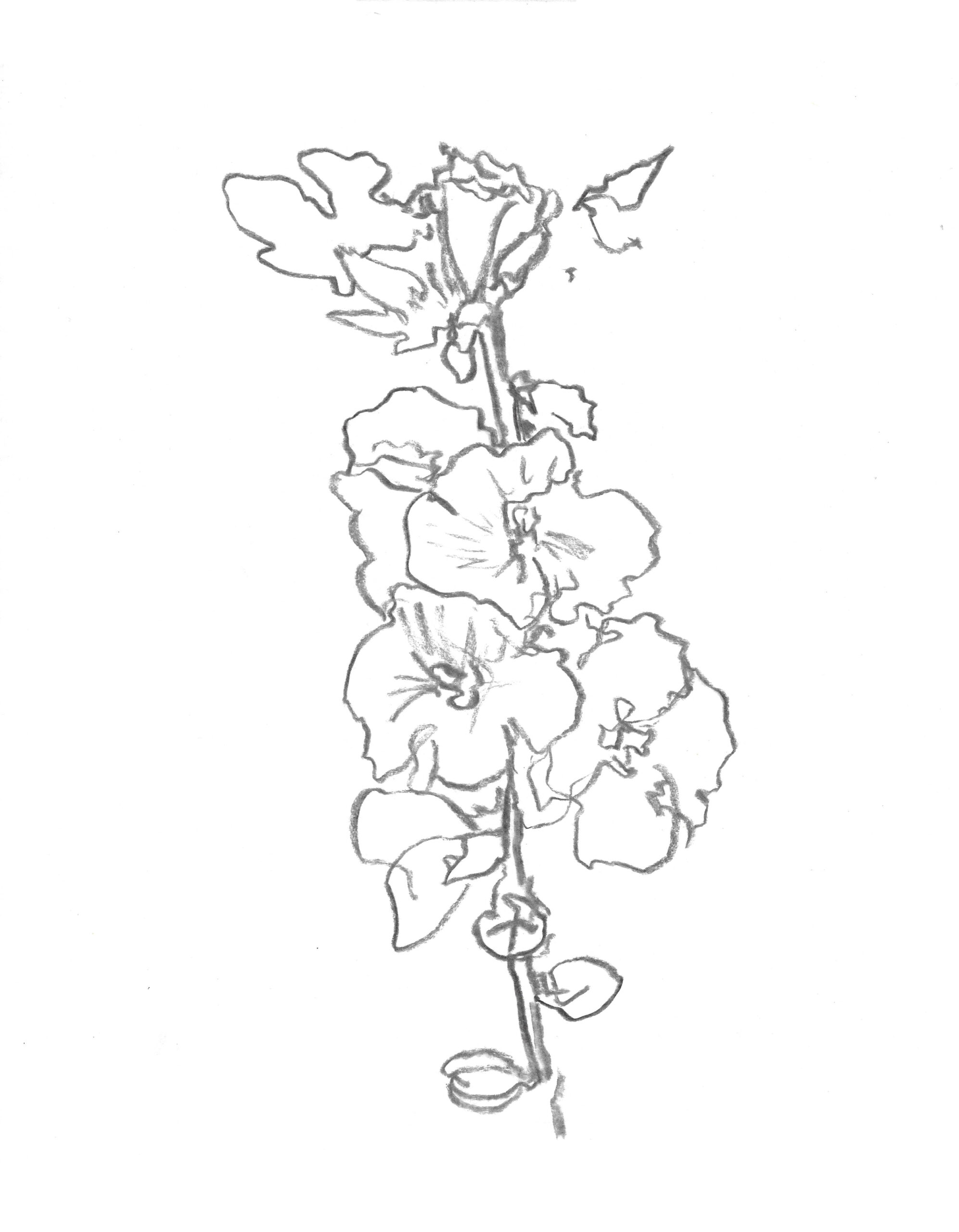 2021, fusain sur papier, 30,5 x 40,5 cm