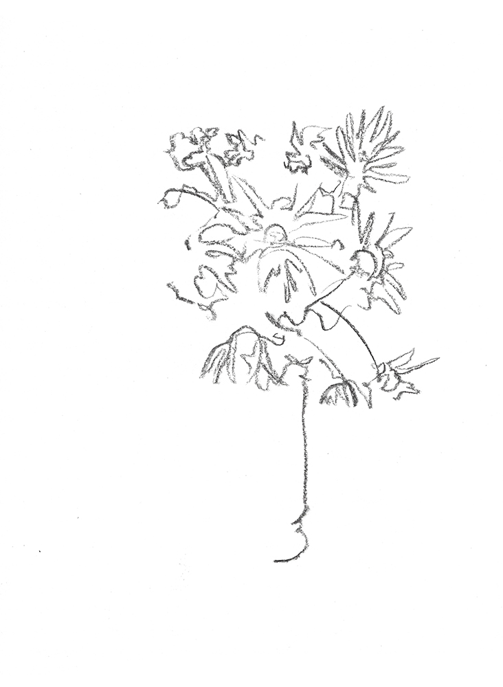 2021, fusain sur papier, 29,5 x 40,5 cm