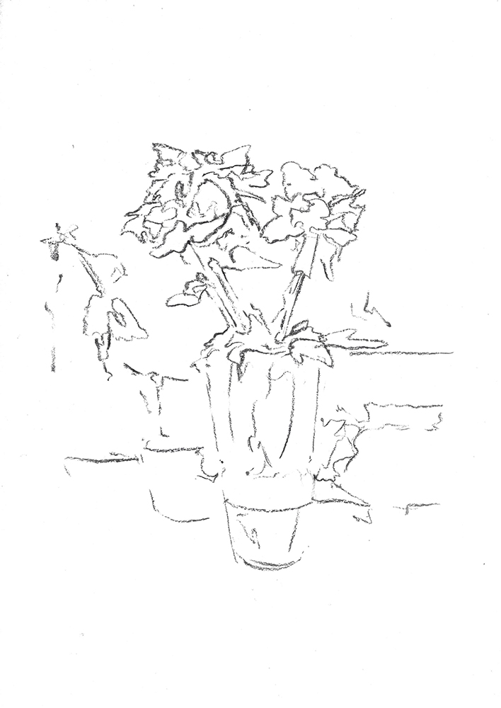 2023, fusain sur papier, 21 x 29,7 cm