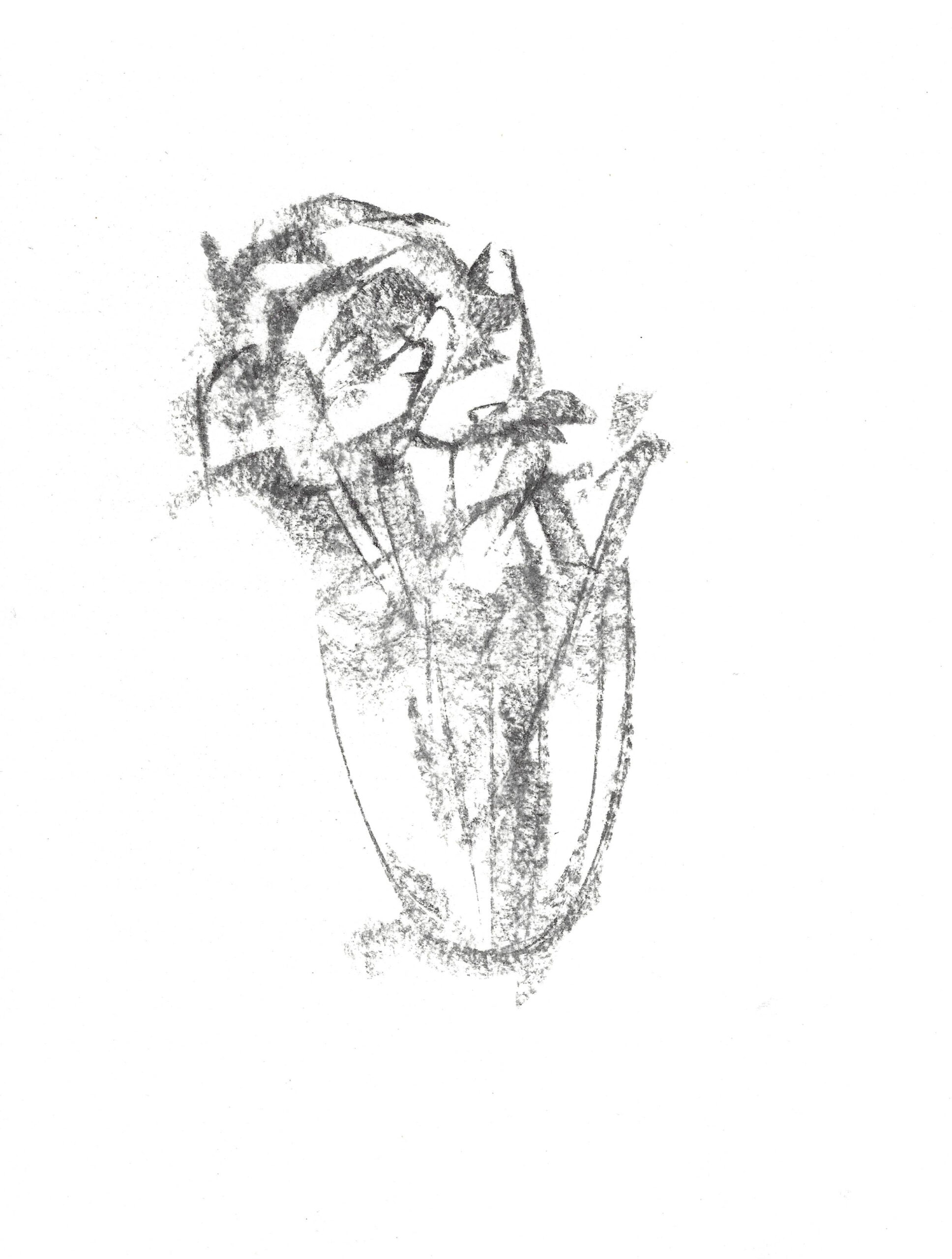 2023, fusain sur papier, 21 x 28cm