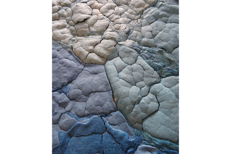 Détails de l'œuvre