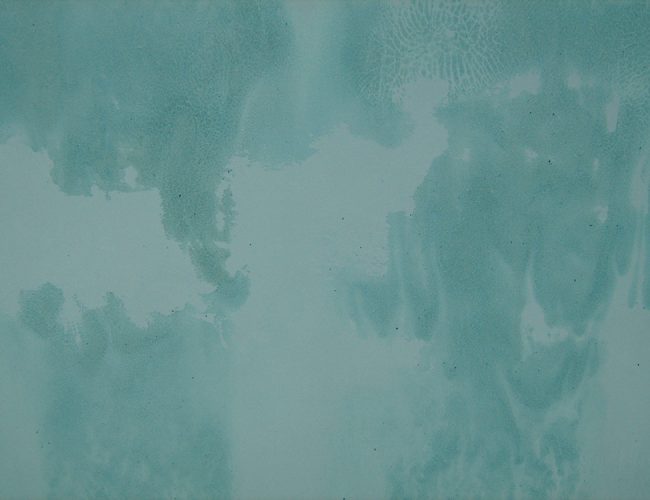 Détails de l'œuvre