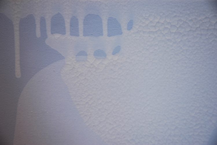 Détails de l'œuvre